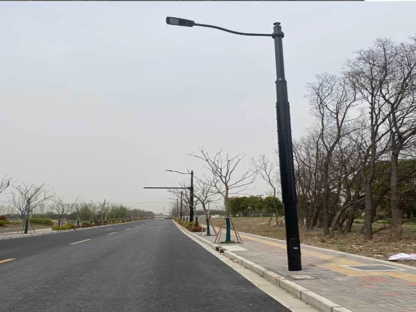 龙海区上海综合杆 太阳能路灯工程